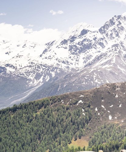 wandern-und-bergsteigen-idm-suedtirol-klaus-huber Frühlung